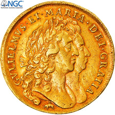 Großbritannien, William and Mary, 5 Guineas, 1691, London, Eléphant, Gold