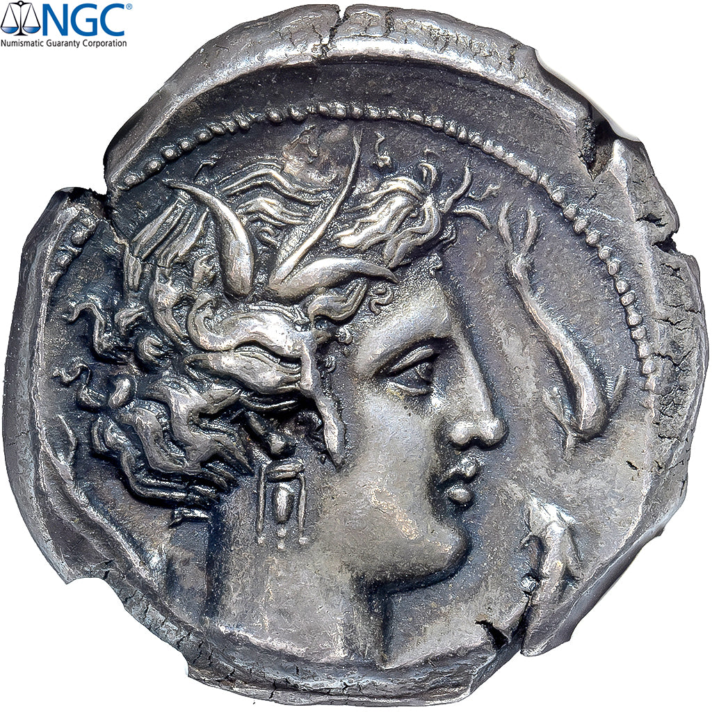 Sicile, Tétradrachme, ca. 330-305 BC, Lilybée, Argent, NGC, Ch XF 4/5-3/5