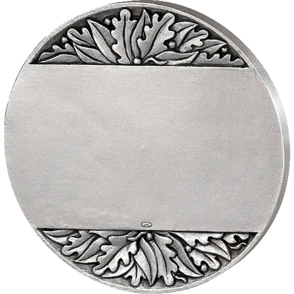 France, Medal, The Fifth Republic, Politics, Society, War, MS(65-70), Silvered