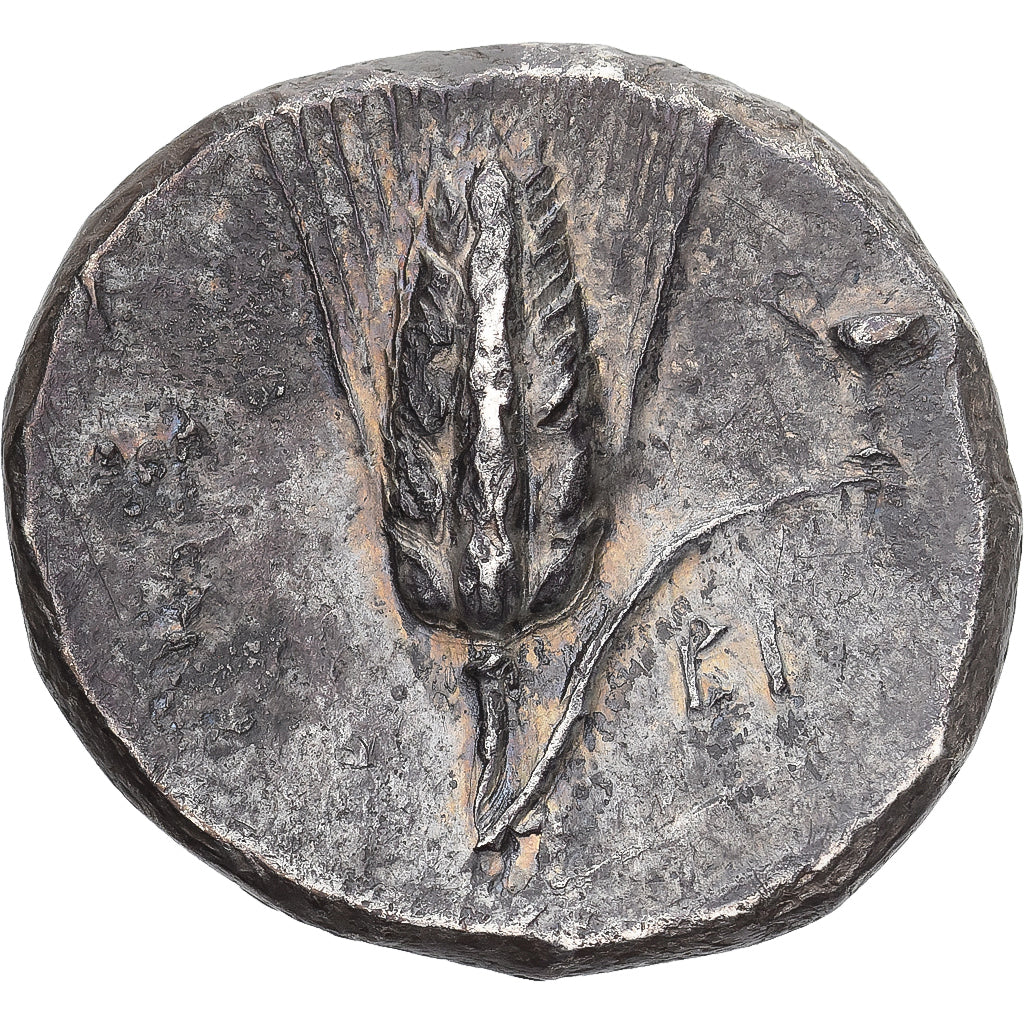 Lucania, Didrachm, c. 290-280 BC, Metapontum, Plata, EBC, HGC:1-1067, HN