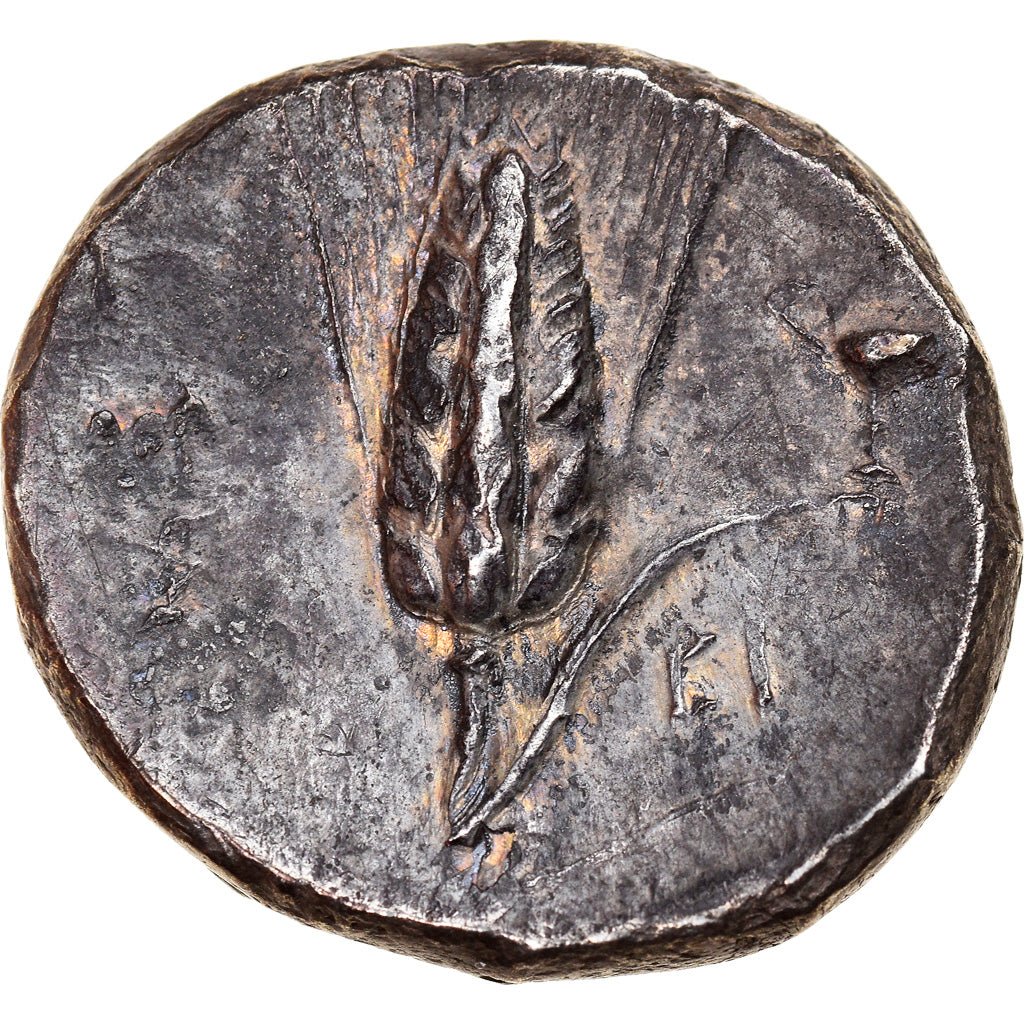 Lucania, Didrachm, c. 290-280 BC, Metapontum, Srebro, AU(55-58), HGC:1-1067, HN