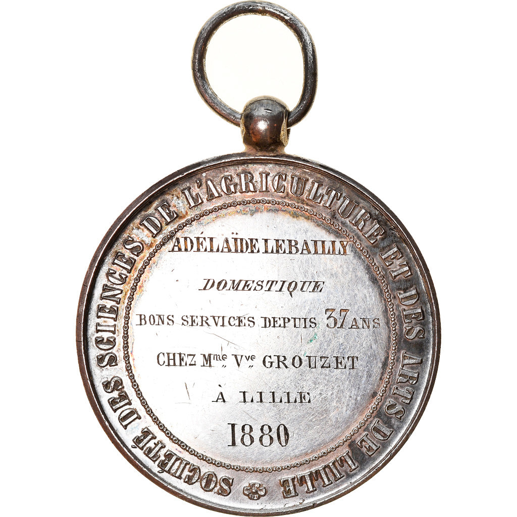 France, Medal, Sciences, Agriculture, Arts de Lille, Attribuée, 1880, Hamel