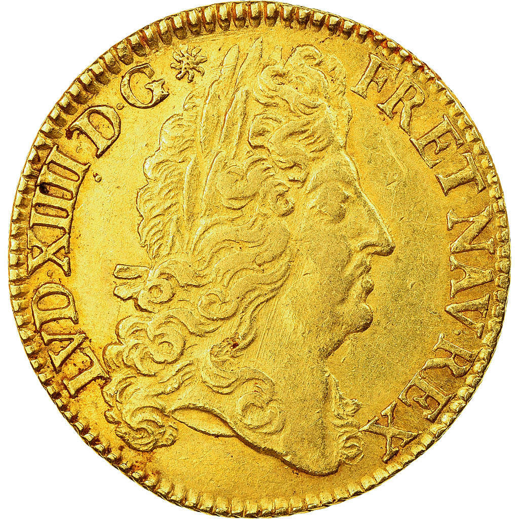 França, Louis XIV, Double louis d'or à l'écu, 1691, Paris, Dourado