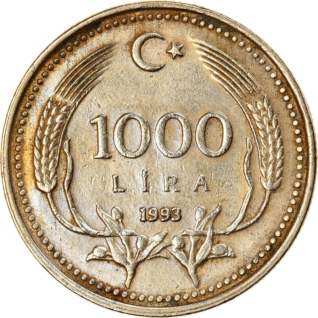Moneta, Turchia, 1000 Lira, 1993, BB+, Nichel-ottone, KM:997