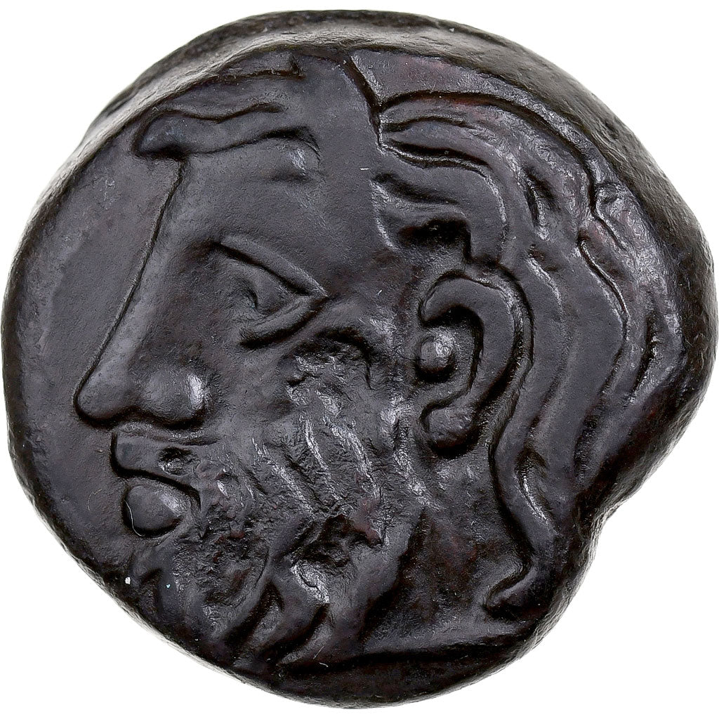 Skythia, Bronze Æ, ca. 310-280 BC, Olbia, Pedigree, Bronze, AU(50-53)