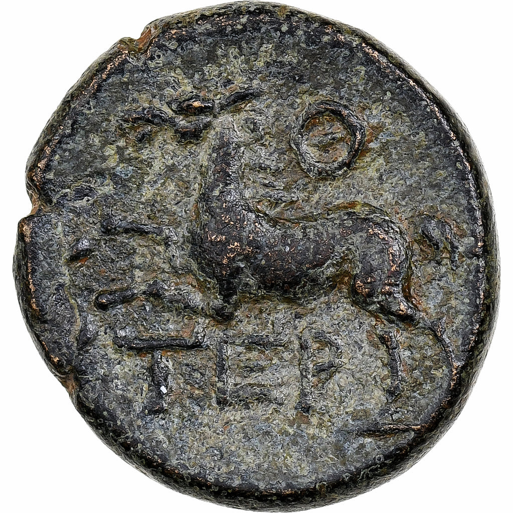 Pisidia, Æ, 63-62, Termessos Major, Bronzen, ZF, SNG-France:2115