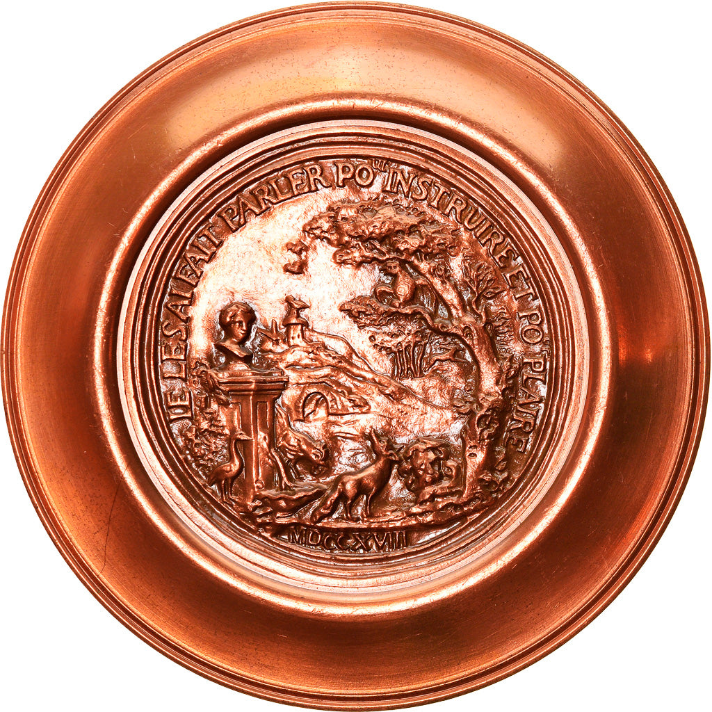 Francia, medaglia, Jean de la Fontaine, History, SPL, Rame