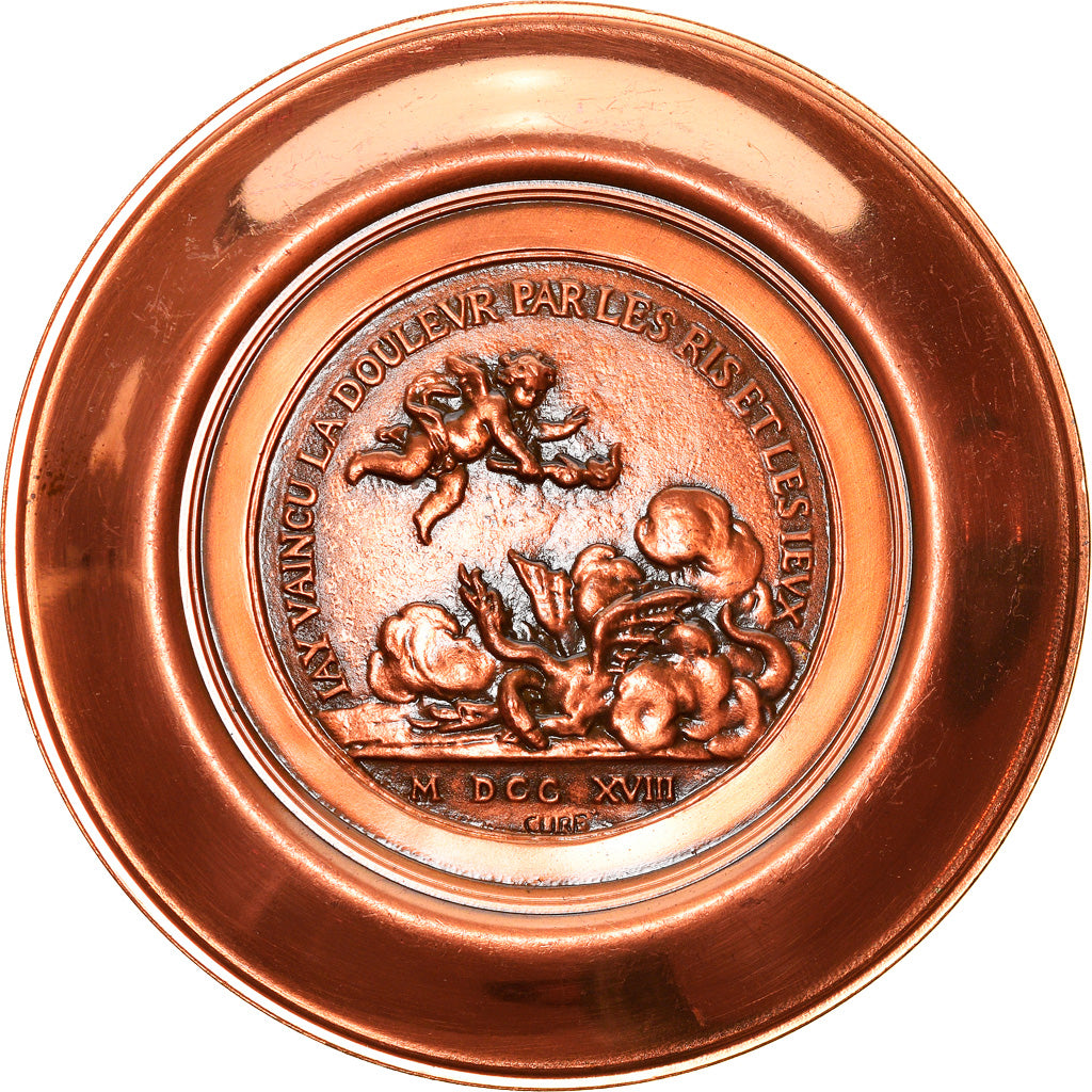 France, Medal, Littérature, Paul Scaron, History, 1973, Cure, MS(63), Copper
