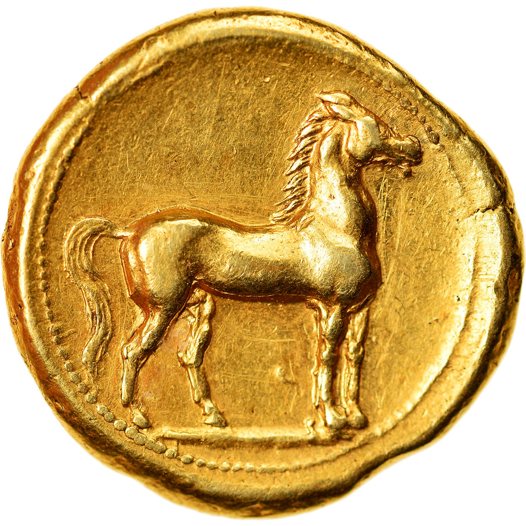 Zeugitana, Stater, ca. 320-310 BC, Carthage, Electrum, NGC, XF 5/5-2/5