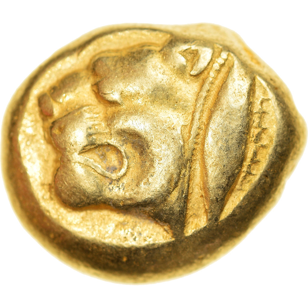 Mysia, Stater, ca. 550-450 BC, Kyzikos, Elettro, BB, SNG-France:178