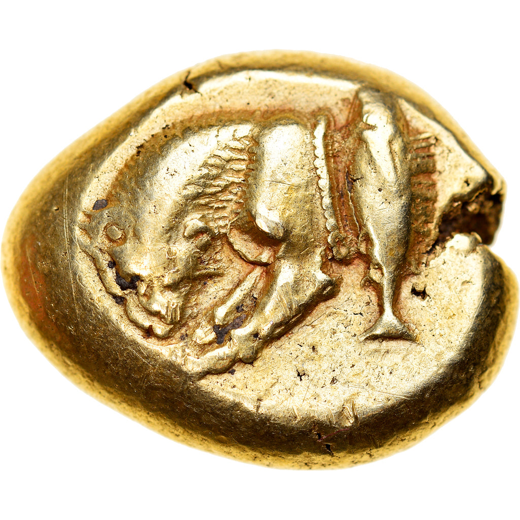 Mysia, Stater, ca. 500-480 BC, Kyzikos, Electrum, S+