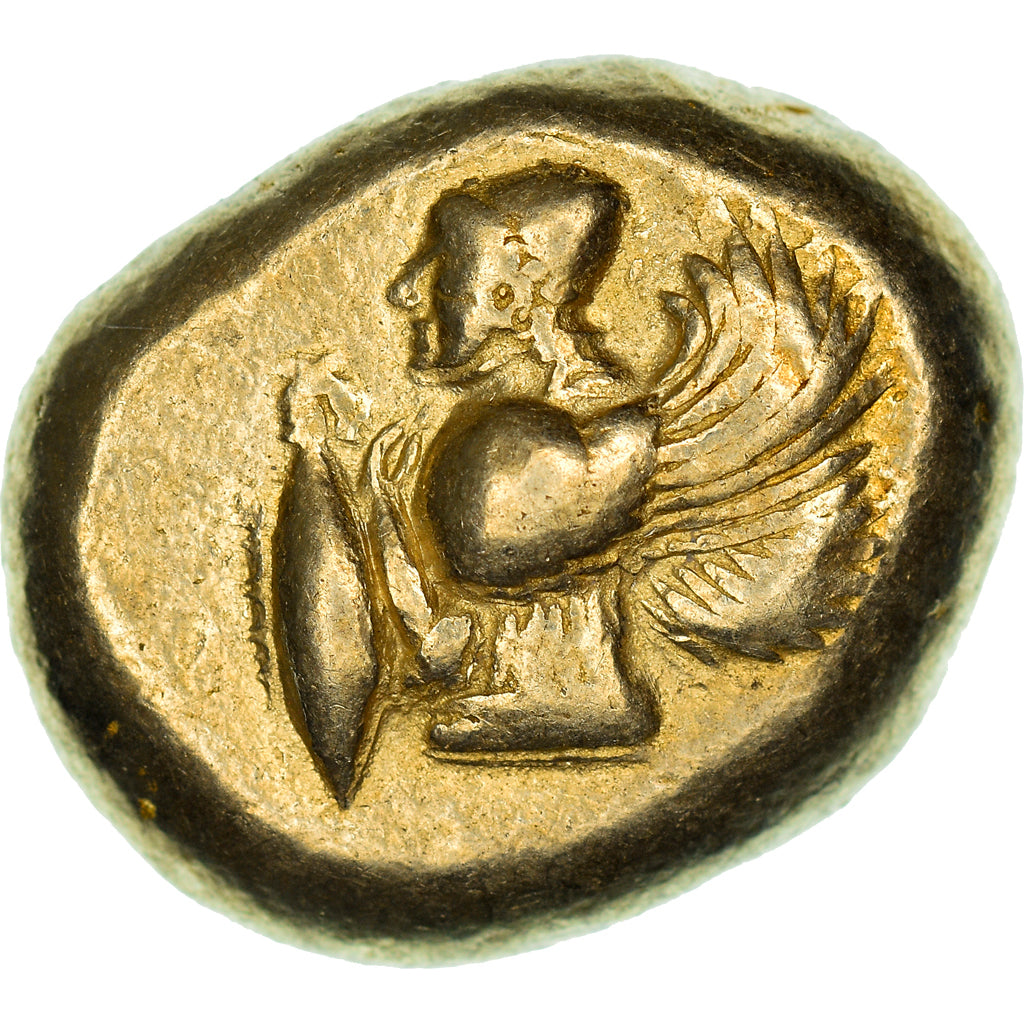 Mísia, Stater, ca. 550-450 BC, Cyzicus, Eletro, NGC, VF 5/5-5/5, SNG-France:205