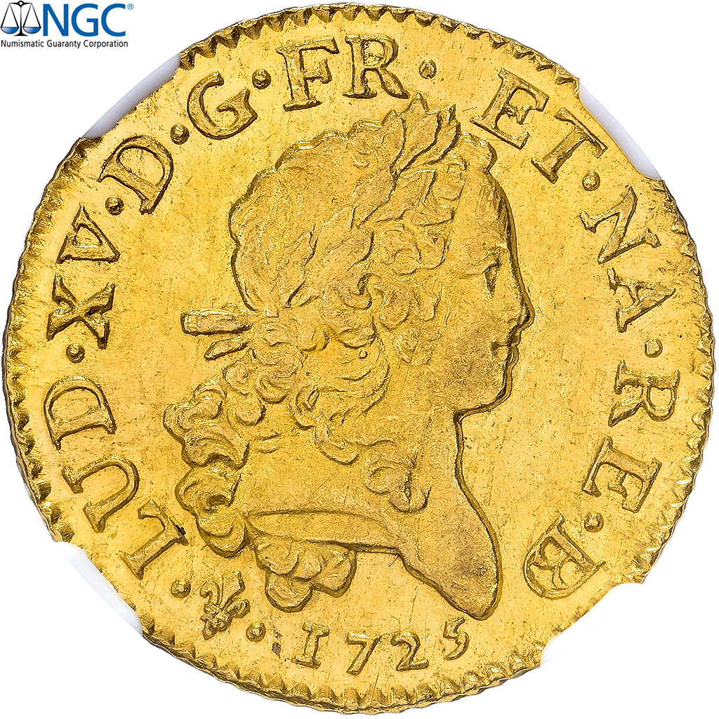 France, Louis XV, Louis d’or Mirliton de Béarn, Grandes palmes, 1725, Pau