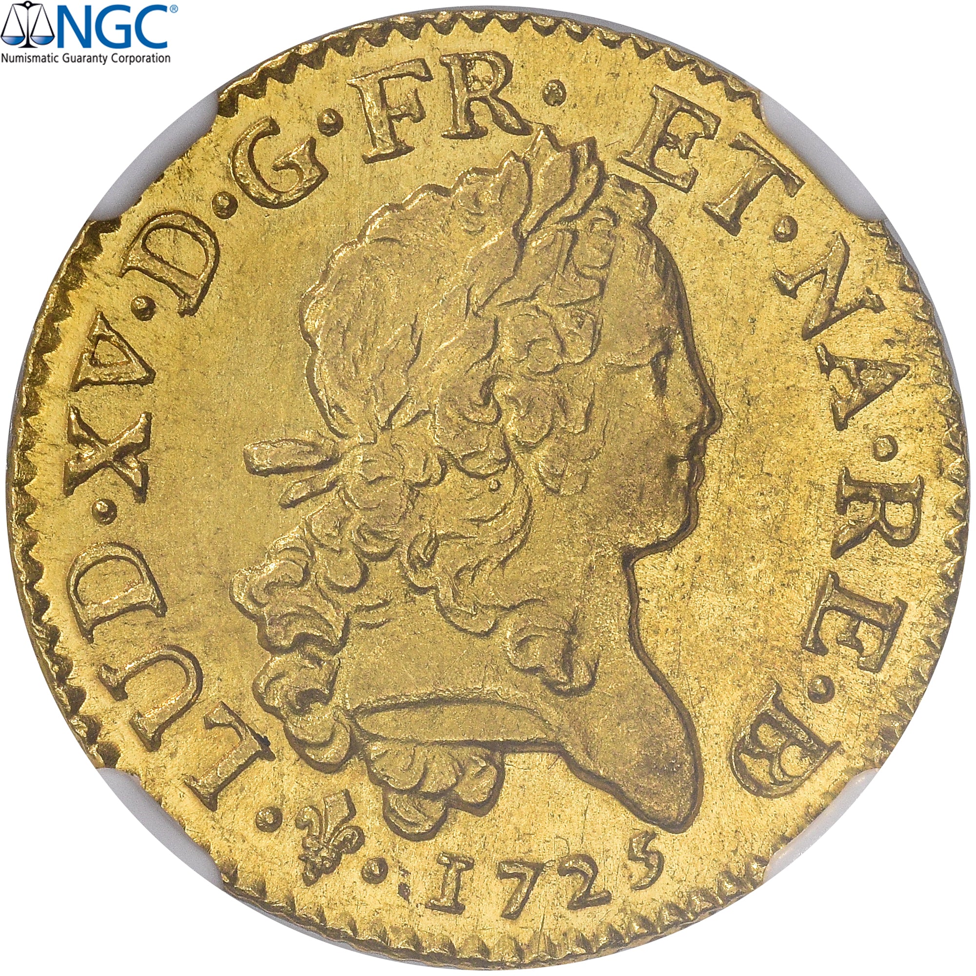 Francia, Louis XV, Louis d’or Mirliton de Béarn, Grandes palmes, 1725, Pau