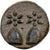 Kolchis, Æ, 105-90 BC, Dioskourias, Bronze, AU(55-58), SNG-BM: 1021