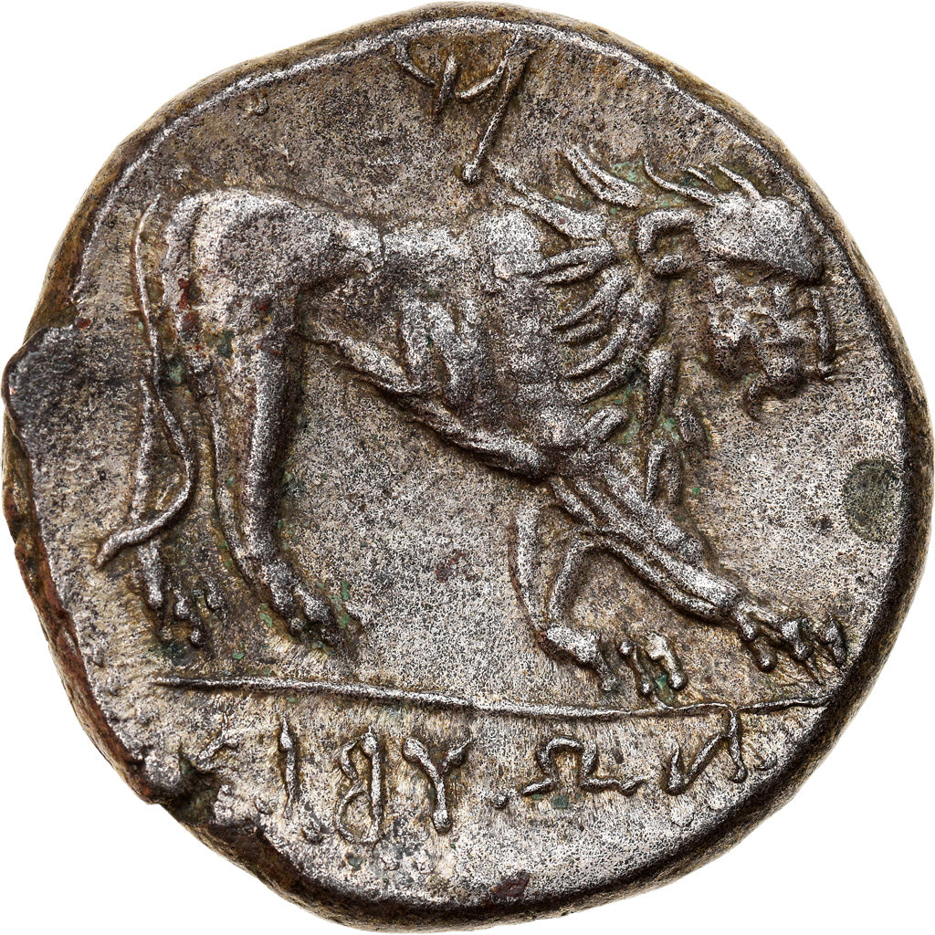 Zeugitana, Shekel, ca. 241-238 BC, Libyan Revolt, Silver, AU(55-58), SNG-Cop:239