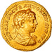 Elagabalus, Aureus, 218-222, Antioch, Very rare, Gold, NGC, Ch VF 5/5-2/5