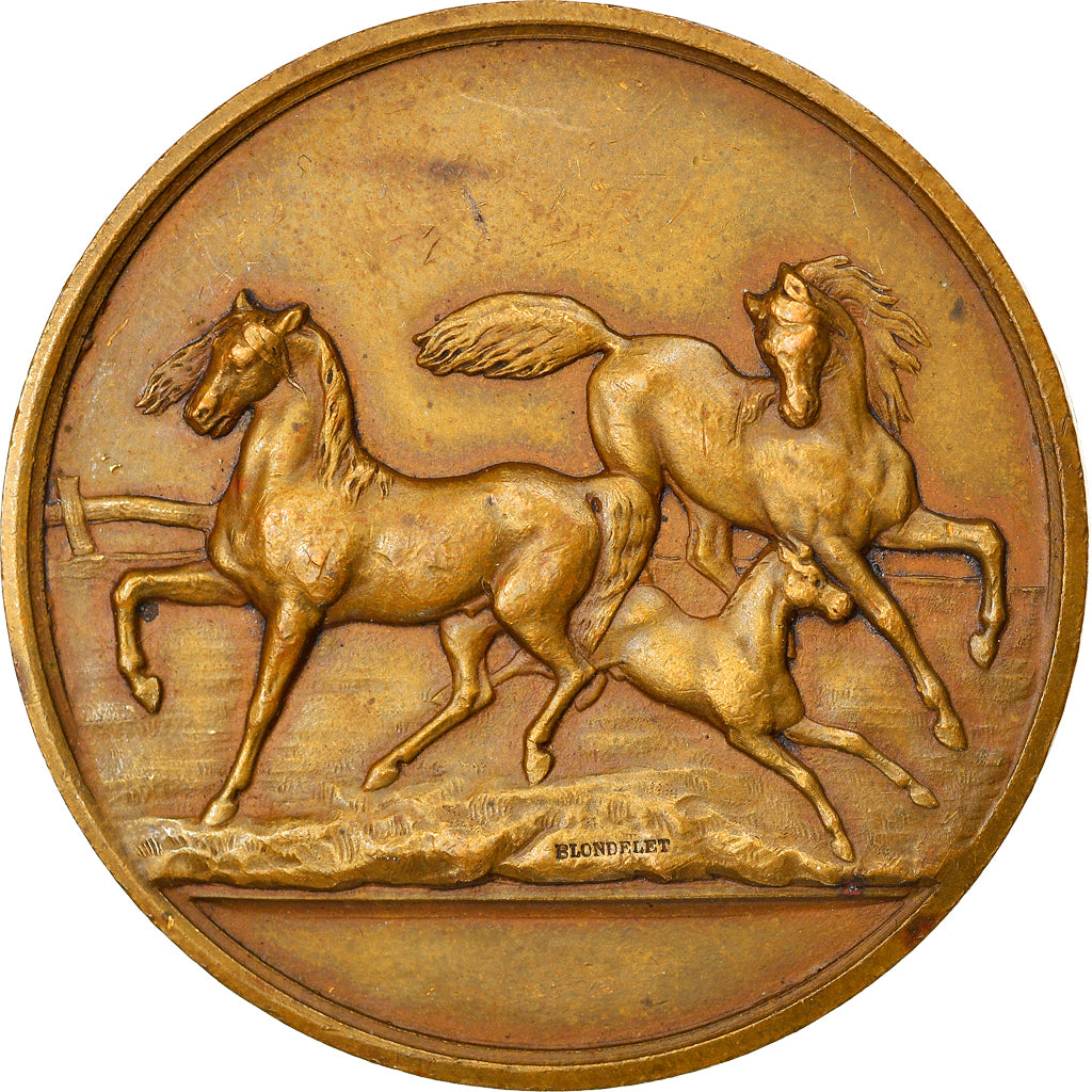 France, Médaille, Agriculture, Concours de la Brenne, Rosnay, 1909, Blondelet