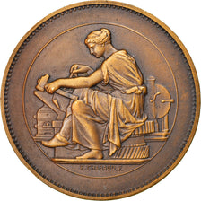 Francja, Medal, Société Industrielle du Nord de la France, Lille, Biznes i