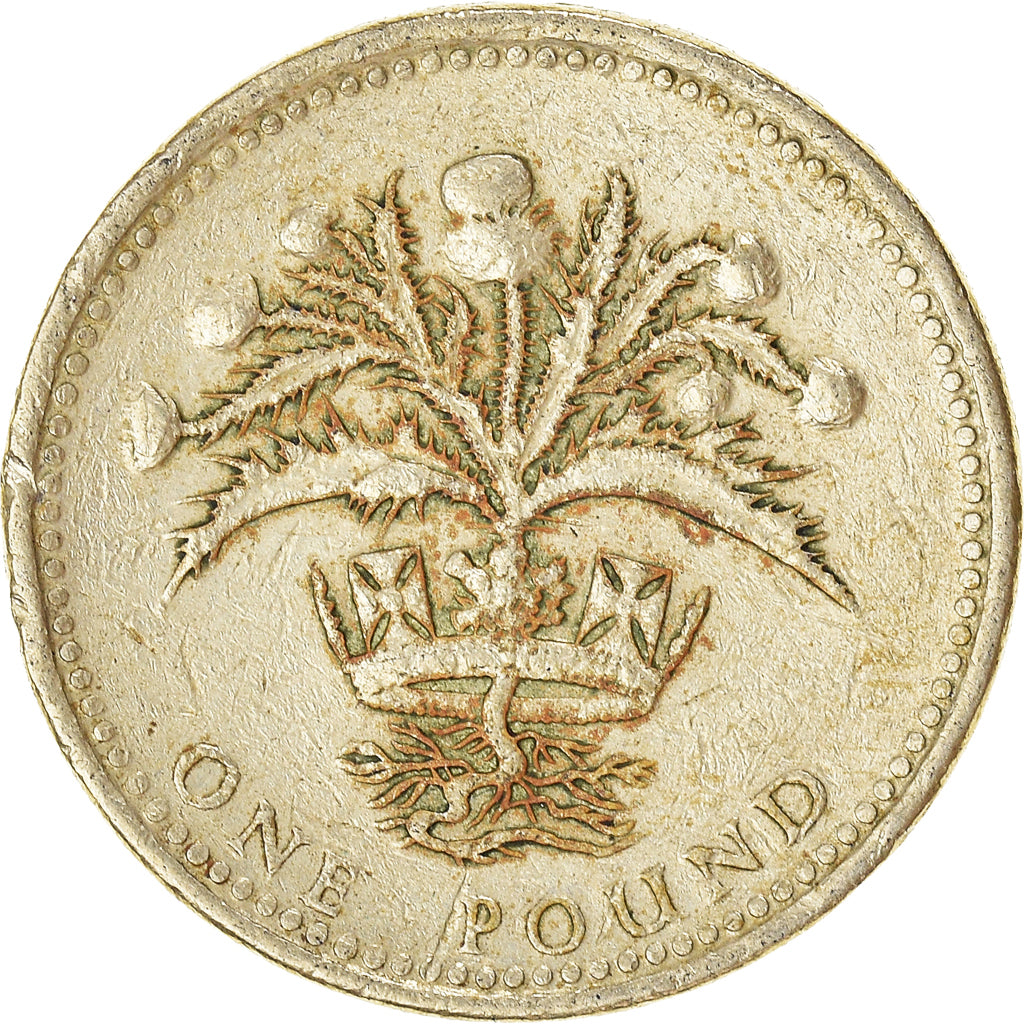 Moneta, Gran Bretagna, Pound, 1989