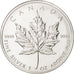 Coin, Canada, Elizabeth II, 5 Dollars, 2006, Royal Canadian Mint, MS(63)