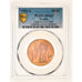 France, 50 Francs, Génie, 1904, Paris, Gold, PCGS, MS63, Gadoury:1113, KM:831