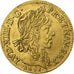 France, Louis XIII, Louis d'Or, 1641, Paris, Gold, AU(50-53), Gadoury:58