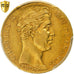 France, Charles X, 20 Francs, 1828, Nantes, Gold, PCGS, AU50, Gadoury:1029