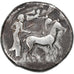 Sicily, Tetradrachm, ca. 480-470 BC, Gela, Plata, BC+