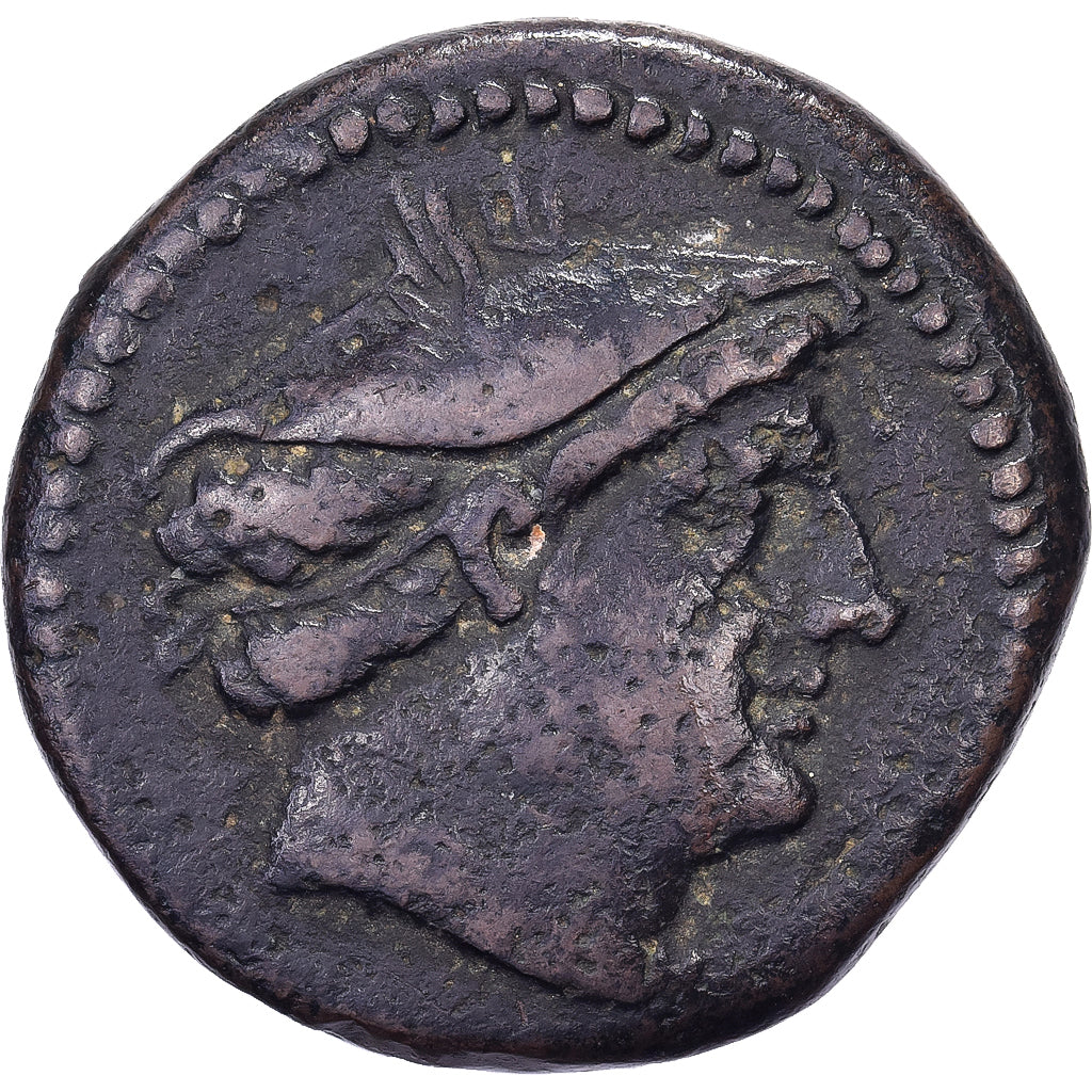 Anonymous, Semuncia, 217-215 BC, Rome, Brązowy, EF(40-45), Crawford:38/7