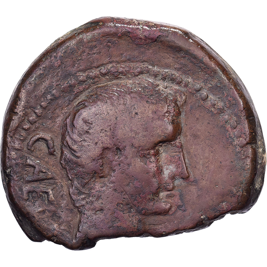 Gaul, Octavian, Dupondius, ca. 40 BC, Narbo, Bronze, VF(30-35), RPC:I-518