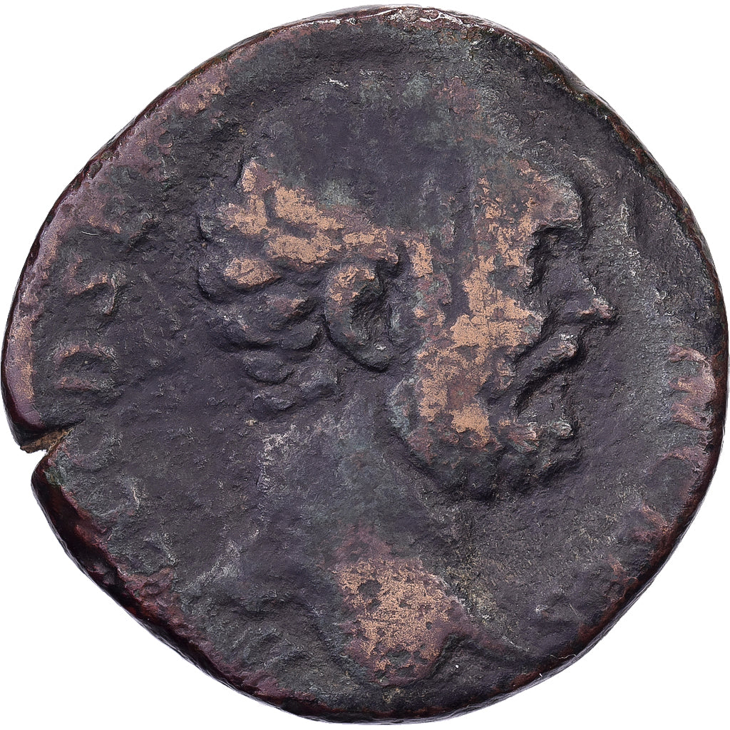 Clodius Albinus, Sestertius, 194-195, Rome, Bronzen, FR, RIC:54