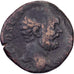 Clodius Albinus, Sestertius, 194-195, Rome, Bronzen, FR, RIC:54