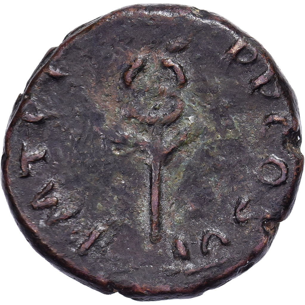 Vespasian, Quadrans, 75, Rome, Brązowy, EF(40-45), RIC:825