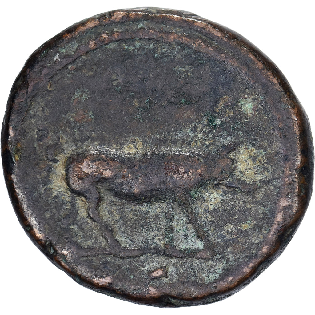 Trajan, Quadrans, 114-117, Rome, Bronze, VF(30-35), RIC:702