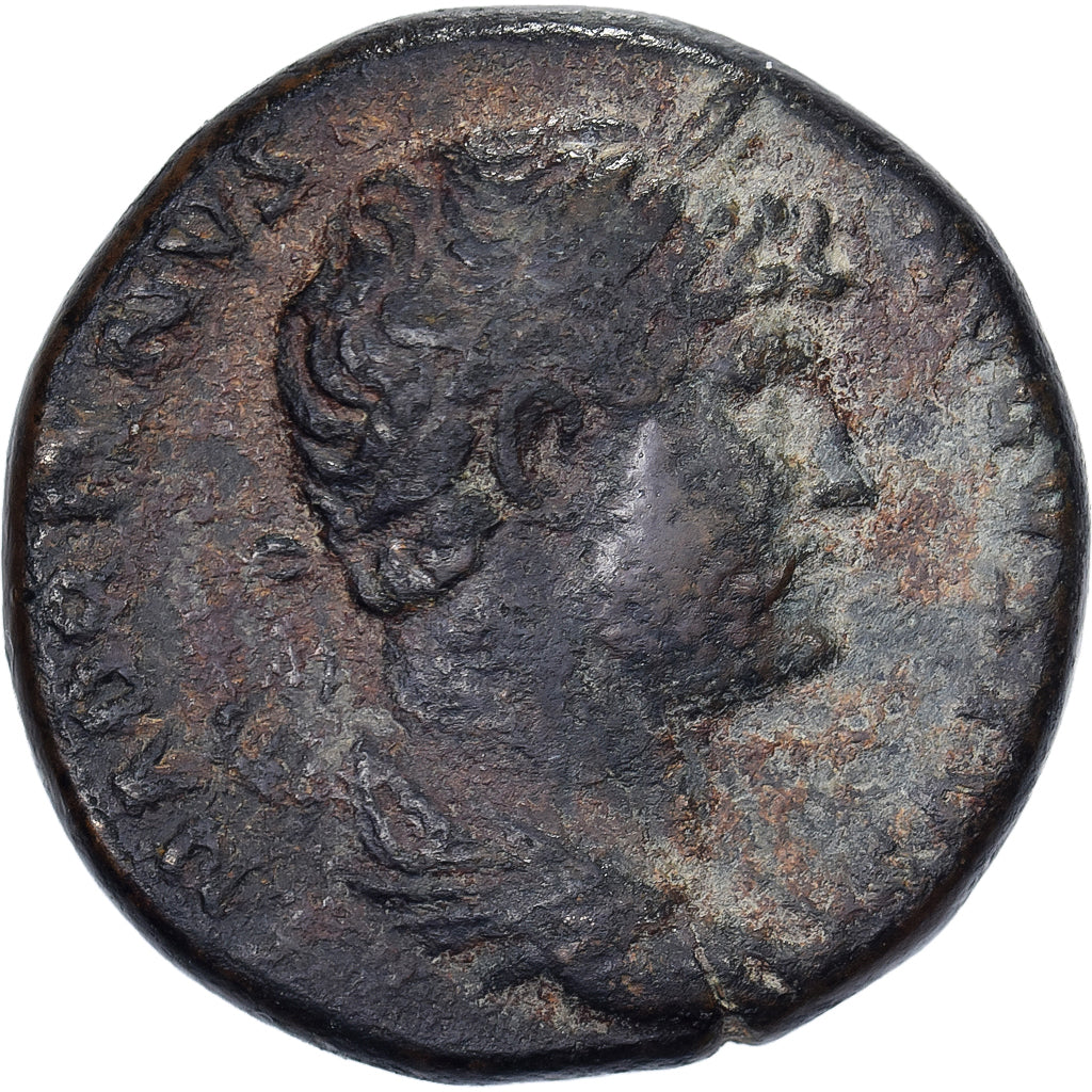 Hadrian, Semis, 124-125, Rome, Bronze, EF(40-45), RIC:760