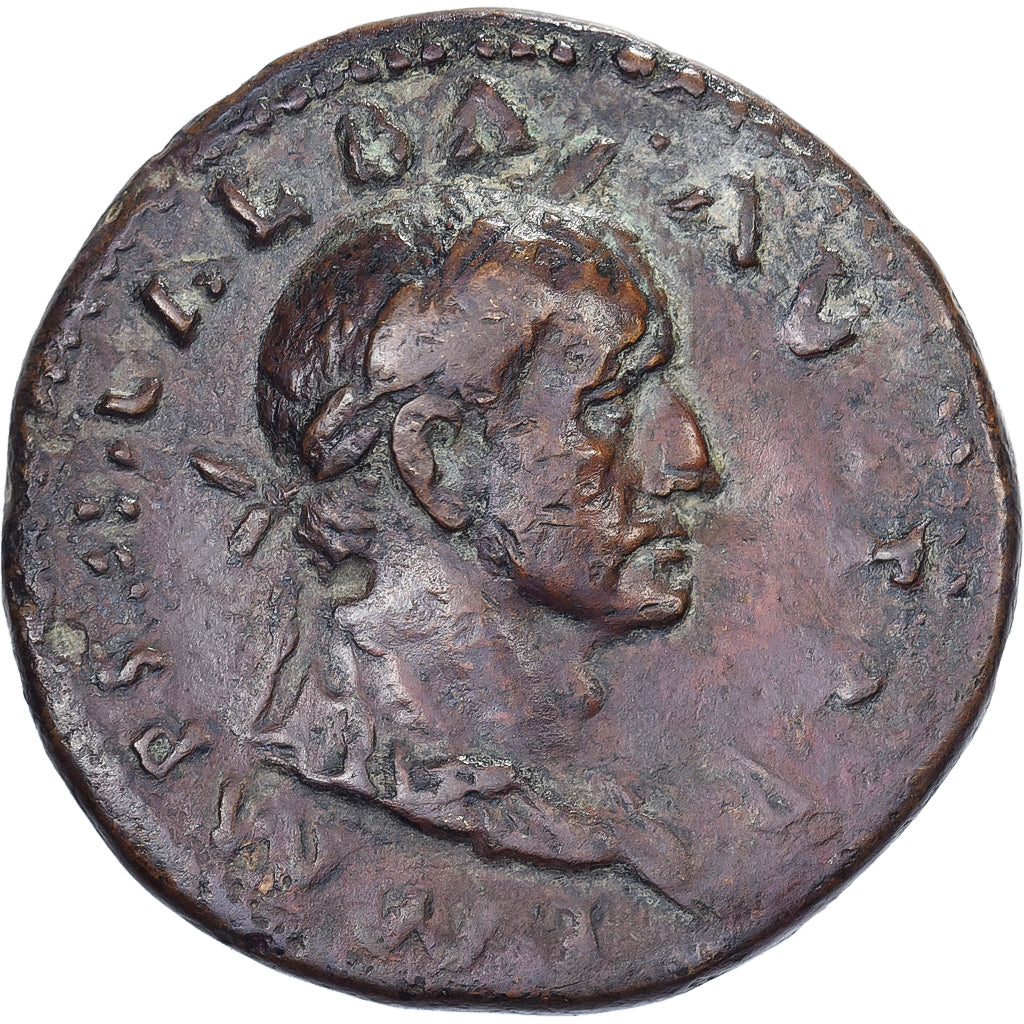 Galba, Dupondius, 68-69, Rome, Bronze, S+, RIC:287