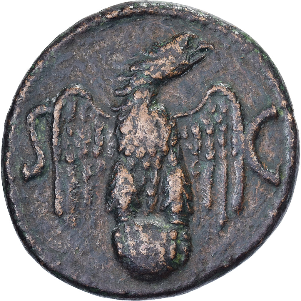 Divus Augustus, As, 34-37, Rome, Bronze, EF(40-45), RIC:82