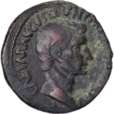 Auguste, As, 7 BC, Rome, Bronze, S+, RIC:435