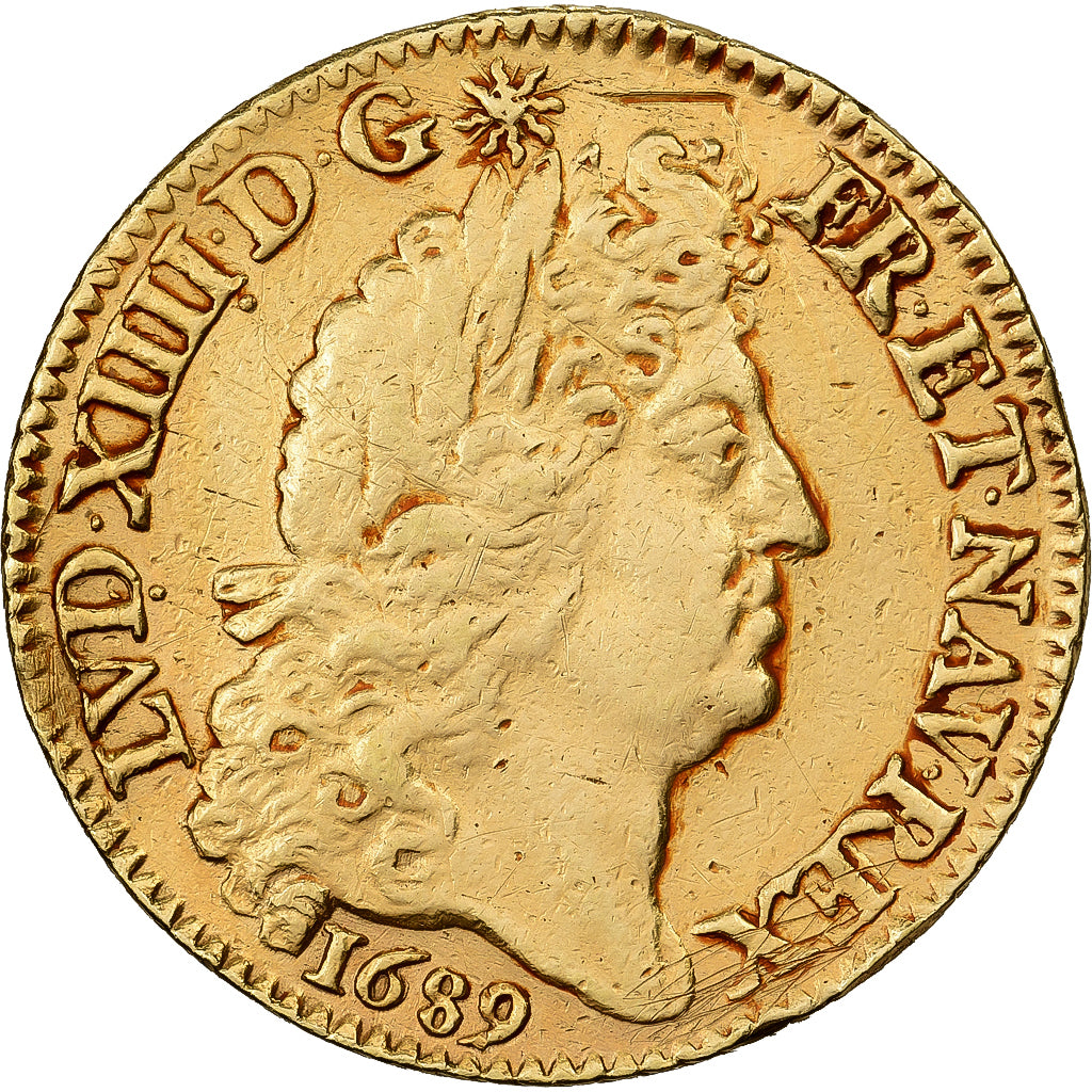 Francia, Louis XIV, Louis d'or aux 8L, tête laurée, 1689, Paris, Oro, MB+