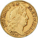 Francia, Louis XIV, Louis d'or aux 8L, tête laurée, 1689, Paris, Oro, MB+
