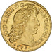France, Louis XIV, Louis d'or à la tête nue, 1680, Paris, Gold, AU(50-53)