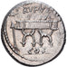 Roman Republic, Pompeia, Denarius, 54 BC, Rome, Argento, SPL-, Crawford:434/2
