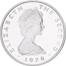 Wyspa Man, Elizabeth II, 5 Pence, 1976, Pobjoy Mint, Proof, Platyna, MS(63)