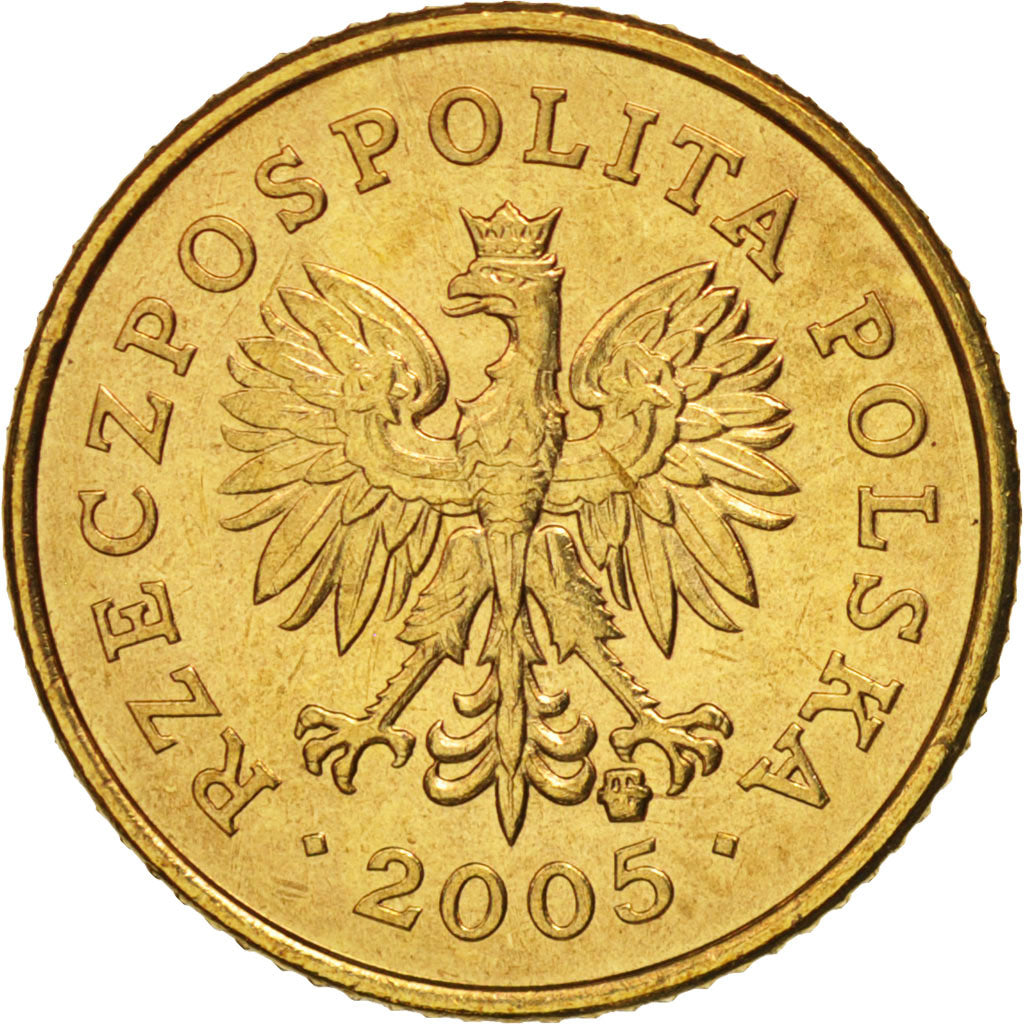 Coin, Poland, Grosz, 2005, Warsaw, MS(63), Brass, KM:276