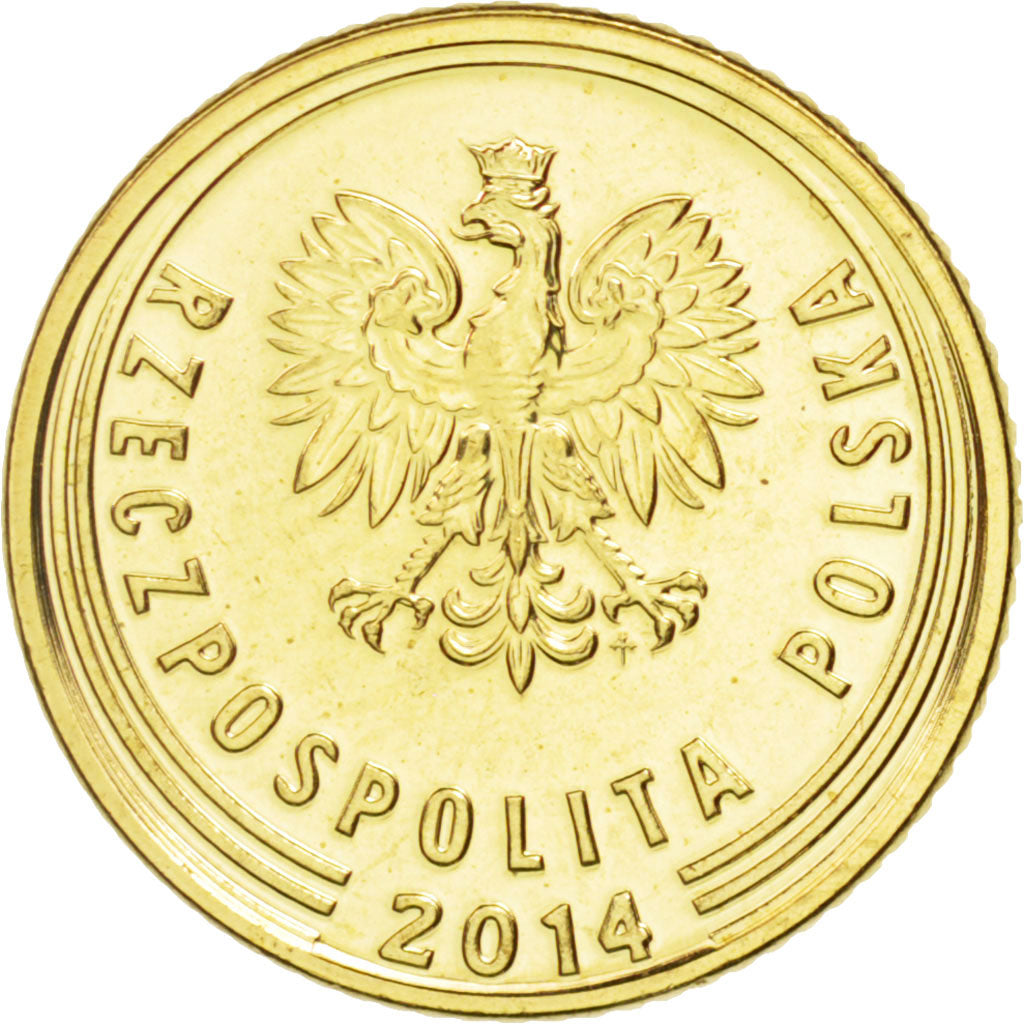 Coin, Poland, Grosz, 2014, Warsaw, MS(63), Brass