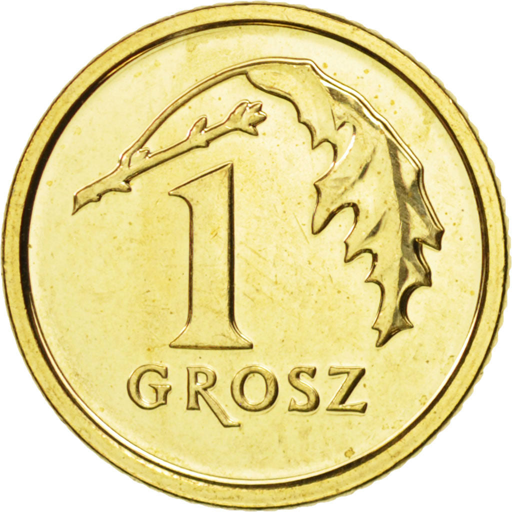 Coin, Poland, Grosz, 2014, Warsaw, MS(63), Brass