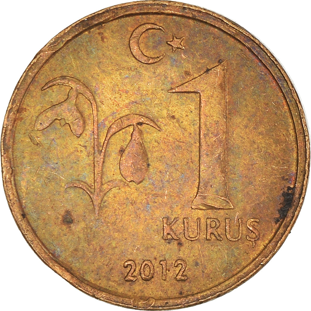 Coin, Turkey, Kurus, 2012