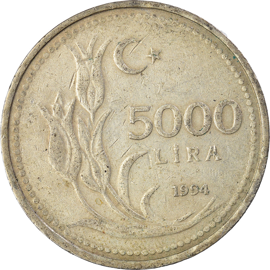 Coin, Turkey, 5000 Lira, 1994