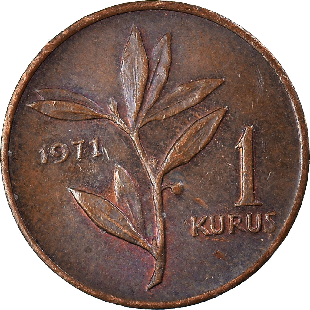 Coin, Turkey, Kurus, 1971